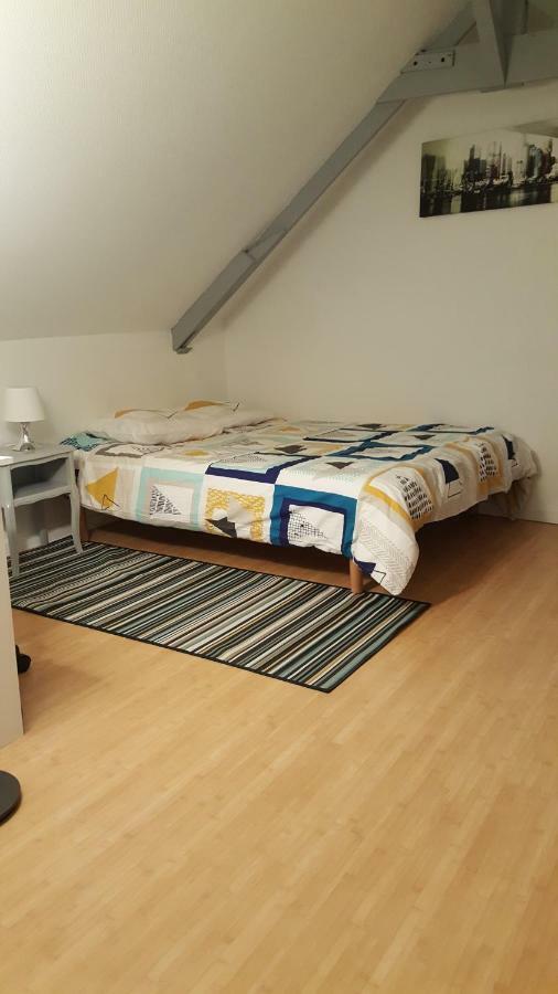 Joli Duplex Gare - Centre Ville Ренн Екстер'єр фото